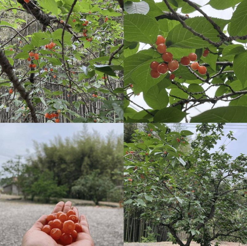 一个月减30斤的减肥方法，你知道吗？