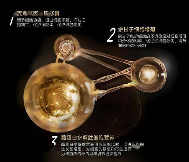 推动国有公司瘦身健体成效体现在五个方面